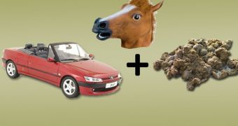A man showers his wife's car in horse manure