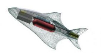 HyFish, The Tuna-Shaped Aircraft