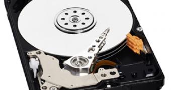 Western Digital says Hybrid HDDs have been received well