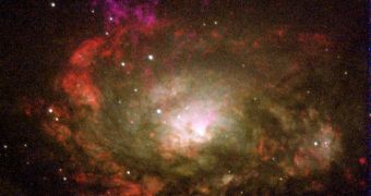This is the Circinus Galaxy, a Seyfert 2-type galaxy