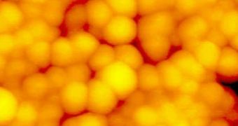 Gold nanoparticles like those used by the new IBM printing technology
