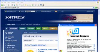 IE6 remains a very popular browser 11 years after launch