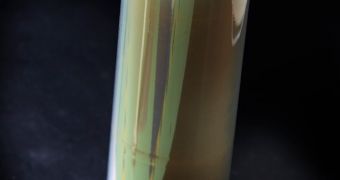 Green polarizer protective film HyTAC
