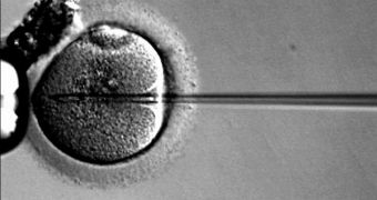 Children conceived through IVF may be subjected to more health risks later on in life, but this idea cannot be tested at this point