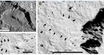 Iapetus Reveals Signs of Massive Avalanches