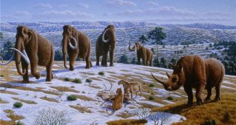 Mammoths lived in the iberian Peninsula some 150,000 years ago