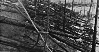 The aftermath of the Tunguska event