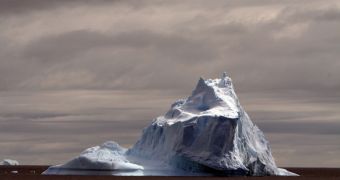 Icebergs release iron into the water, fertilizing it, and triggering larger phytoplankton blooms