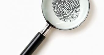 Identity Theft Under Federal Microscope