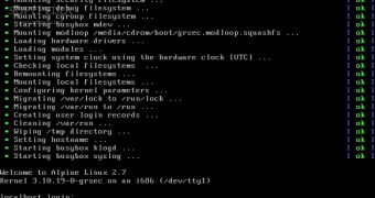 Alpine Linux in a terminal