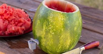 The watermelon tap