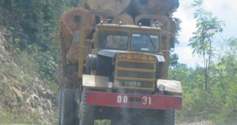 Illegal logging still rages in some portions of Brazil