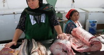 Woman selling Sturgeon-fish at a market in Türkmenbaşy, Turkmenistan