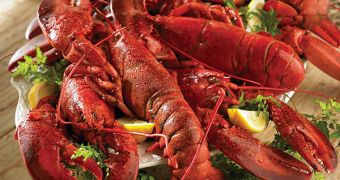 Men face major fine for illegally trading lobsters
