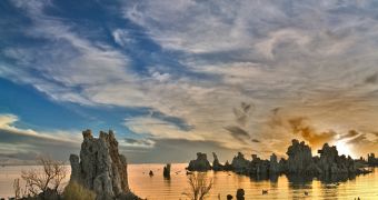 Image Search Results for Mono Lake Poisoned