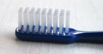 Regulatory T-cells can reduce inflammation in periodontal disease, new study finds