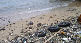 British beaches were surprisingly dirty in 2013, green group says