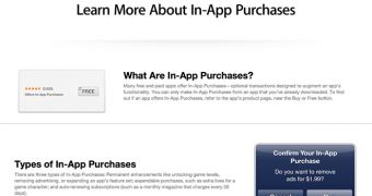 In-App Purchase guide (screenshot)