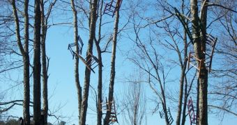 Artist attaches chairs to trees in North Carolina
