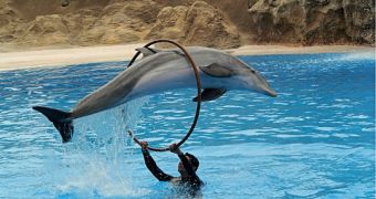 Captive dolphin shows now banned in India