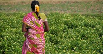 Indian Farmers and the National Government Fight Over Water Resources