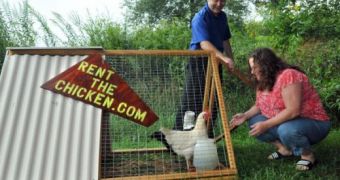 Phil and Jenn Thompkins are renting out chicken