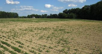 Drought currently affects 88 percent of the state of Indiana