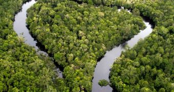 The UN warns that Indonesia needs to improve on its forest governance