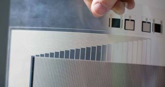 Rosenberg holds a sheet of plastic that has been imprinted with thin lines of metal. The researchers design the patterns and send them to an electronics facility for printing