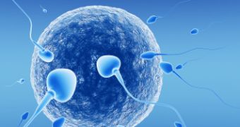 Experimental treatment helps infertile woman become pregnant
