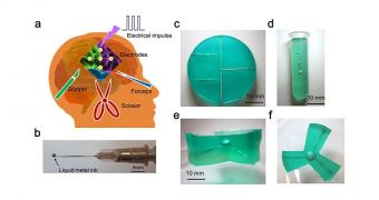 3D Printed Electrodes invented