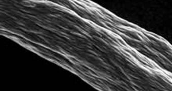 Innovation Allows for Long Carbon Nanotubes