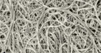 This is an scanning electron microscope image of carbon nanotube bundles