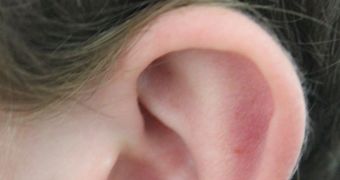 Perceived tinnitus symptoms amplified by insomnia