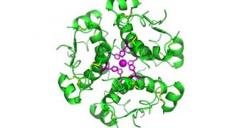 This is a rendition of the hormone insulin