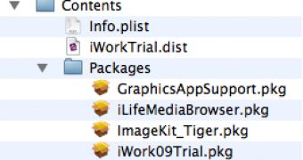 Intego shows the contents of a pirated copy of iWork '09; iWorkServices is what you don't want to launch on your Mac