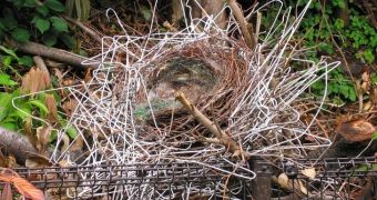 Birds use coat hangers to build nests