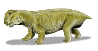 This creature was one of the most abundant early Triassic land vertebrates