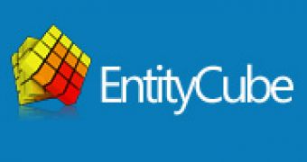 Introducing Microsoft EntityCube