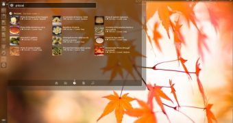 The Unity Cookin Lens on Ubuntu 12.04 LTS