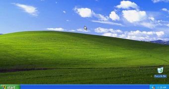 Windows XP is still holding a 25 percent market share