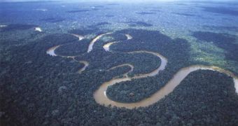 Amazon meanders