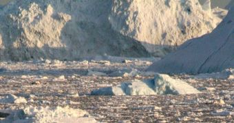 Greenland's isolated glaciers contribute greatly to rising sea levels, study finds