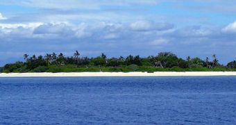 Islands may provide the natural laboratory for creating long-lived species