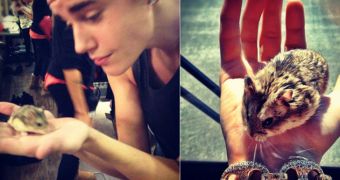 Outrage as Justin Bieber gives away his pet hamster, sentencing the animal to death