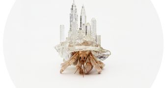 Japanese Artist 3D Prints Shells for Hermit Crabs – Video