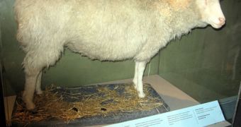 Dolly the Sheep was the first mammal to be cloned
