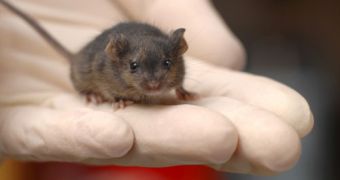 Japanese scientists managed to clone a 15-year old mouse, which has been dead for most of this time