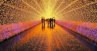Japanese botanical garden becomes a winter wonderland with the help of millions of LED lights