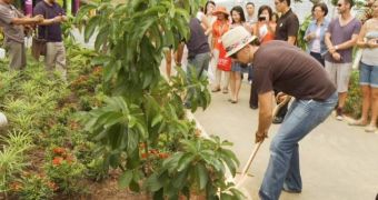 Jason Mraz takes to planting trees